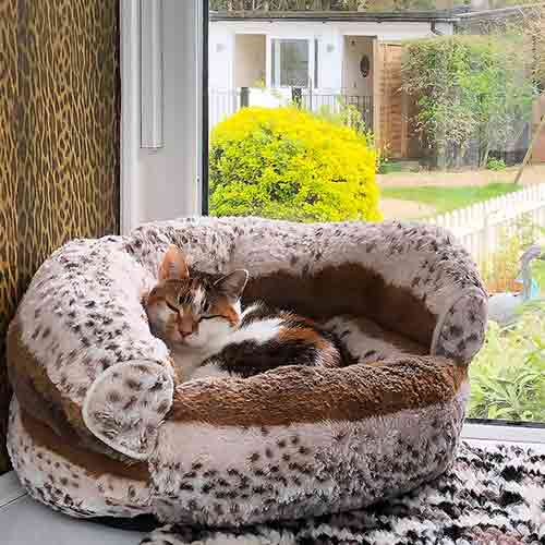 Cat comfily resting in a snow leopard print bed with leopard print background in her bedroom