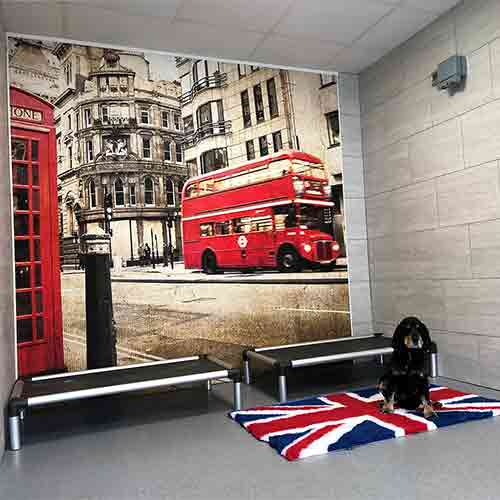 Dog sitting on a plush Union Jack rug in a large dog room with a London bus mural in the background