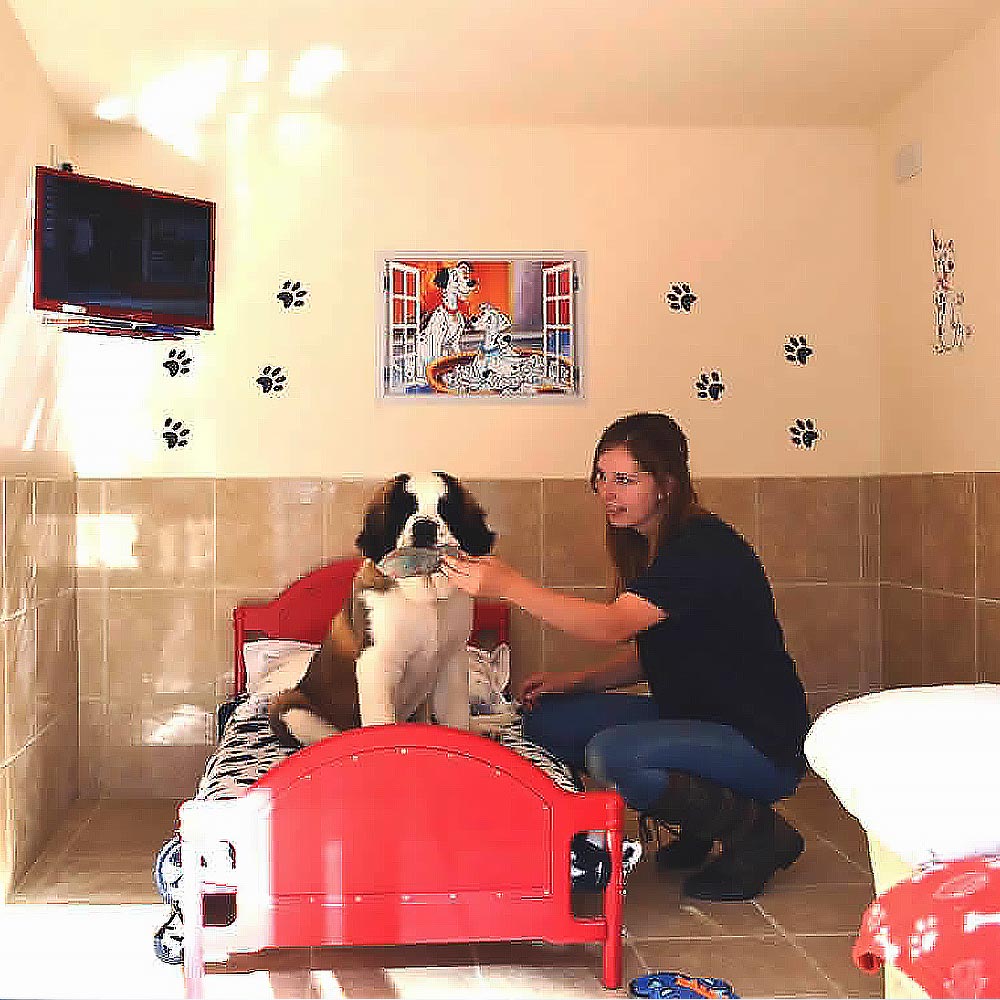 Dog Suites at Westlodge Pet Hotel