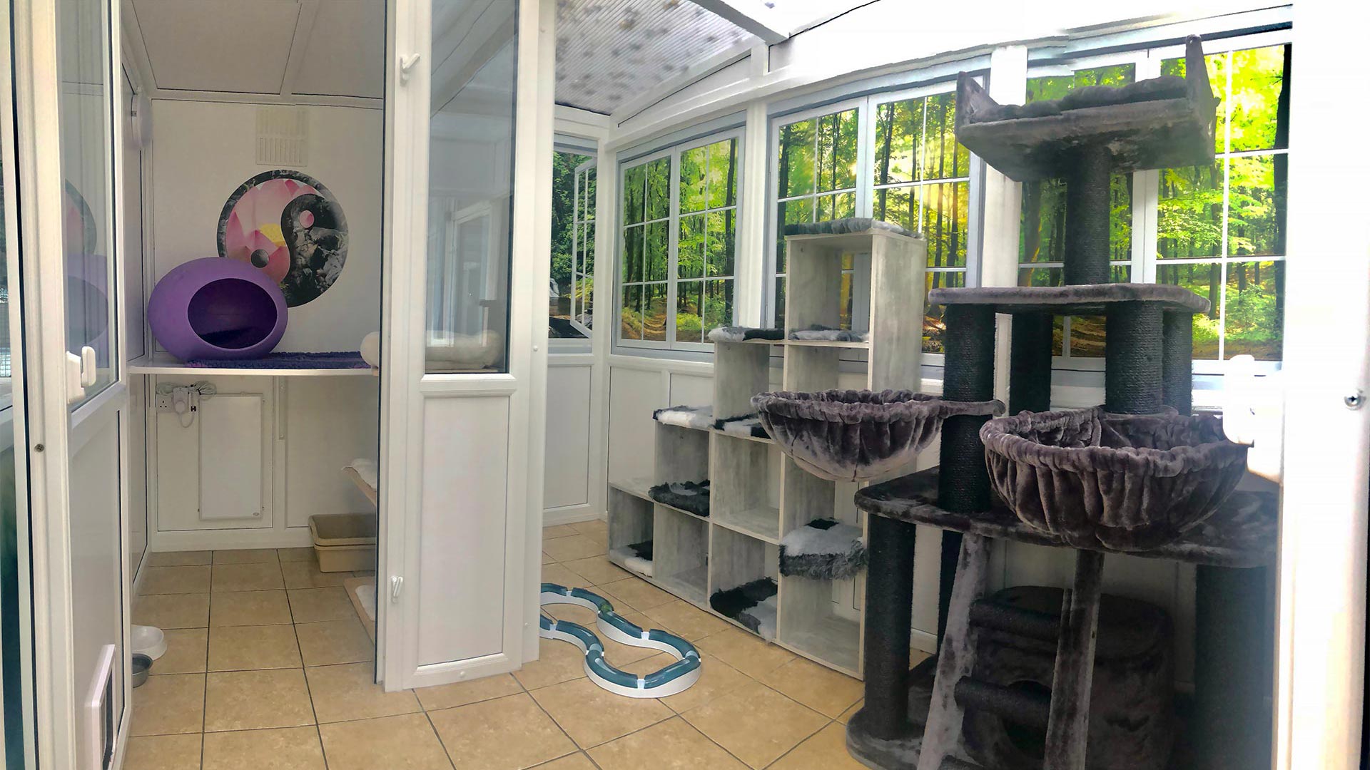 Cat Suites at Westlodge Pet Hotel
