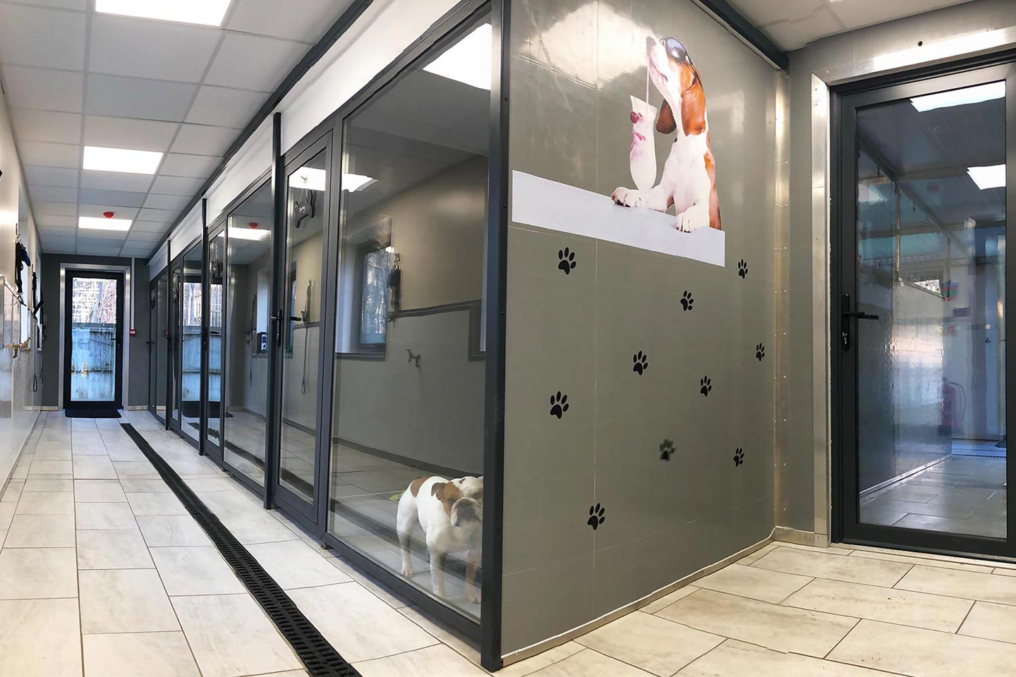 Dog Suites at Westlodge Pet Hotel